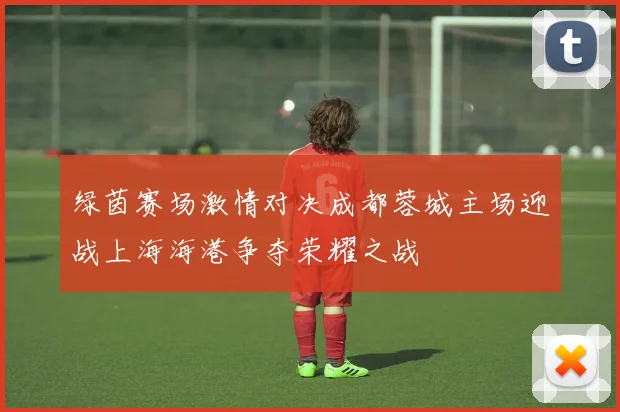 绿茵赛场激情对决成都蓉城主场迎战上海海港争夺荣耀之战