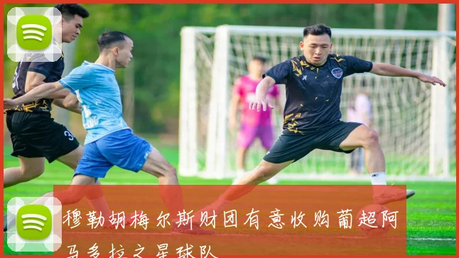穆勒胡梅尔斯财团有意收购葡超阿马多拉之星球队